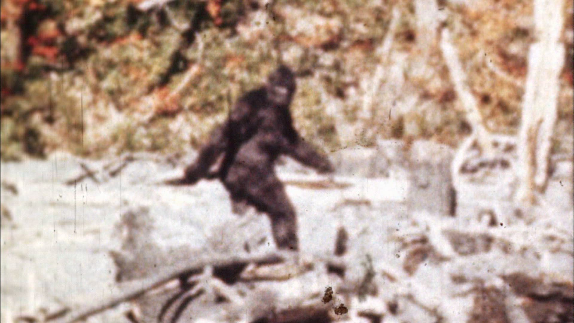 Bigfoot