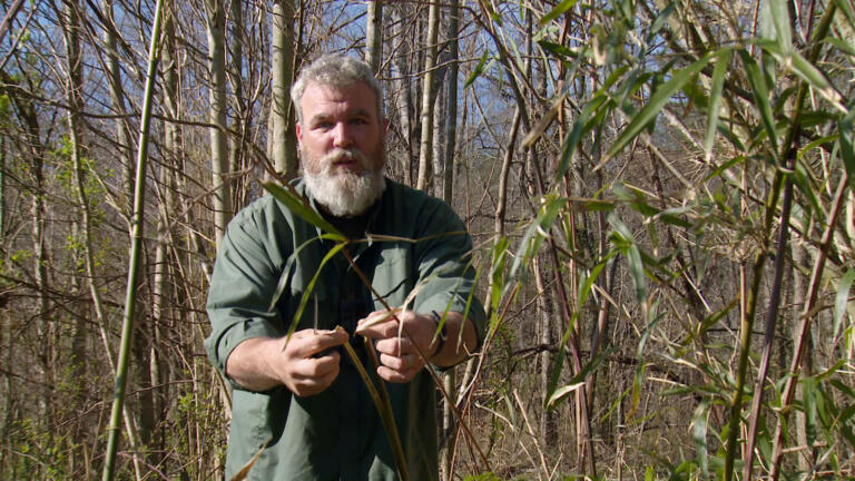 Surviving Alone: Primitive Tool Making thumbnail