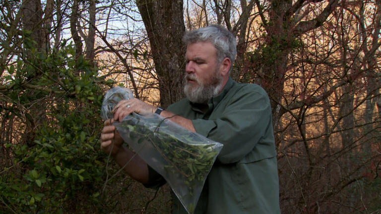 Surviving Alone: Transpiration Bag thumbnail