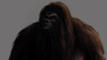 9 The Mystery of Bigfoot