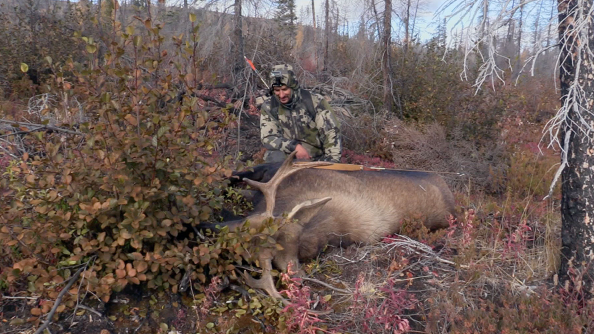 Breaking Down a Moose thumbnail