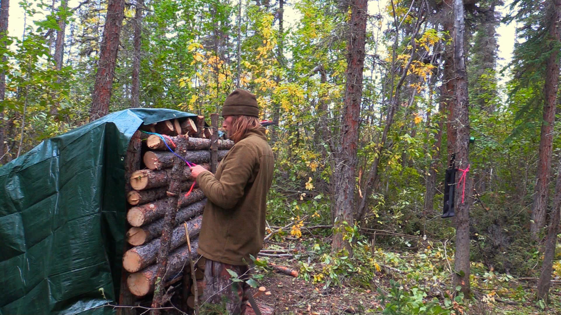 Shelter from the Storm: Lean-to Log Cabin