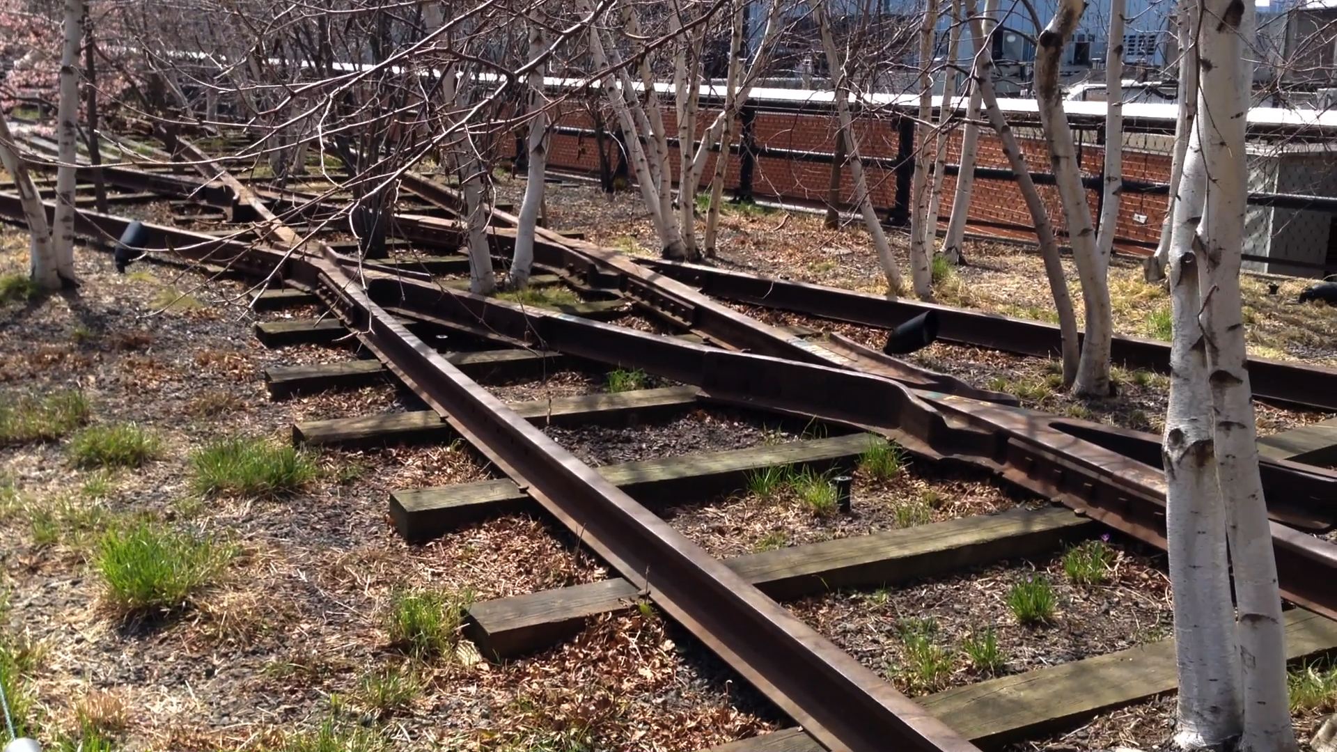 On the Road with Libby O'Connell: The High Line, New York City