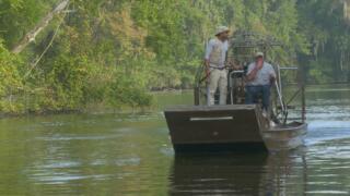 Hunt for the Crocogator