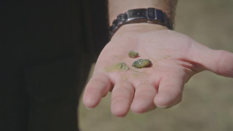 UFO Crash Leads to Shocking Discovery thumbnail