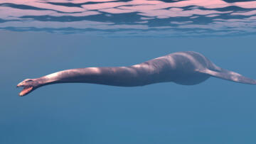 Episode 2 The Loch Ness Monster Part II