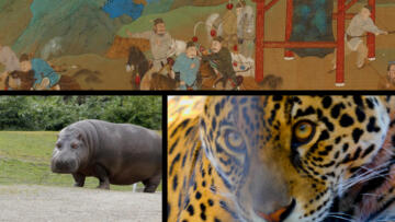 Episode 4 Dangerous Game