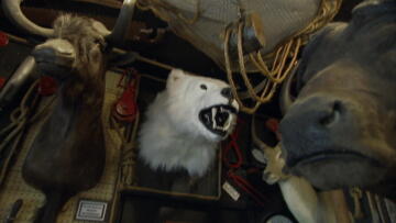 Episode 14 Picks on the Wild Side