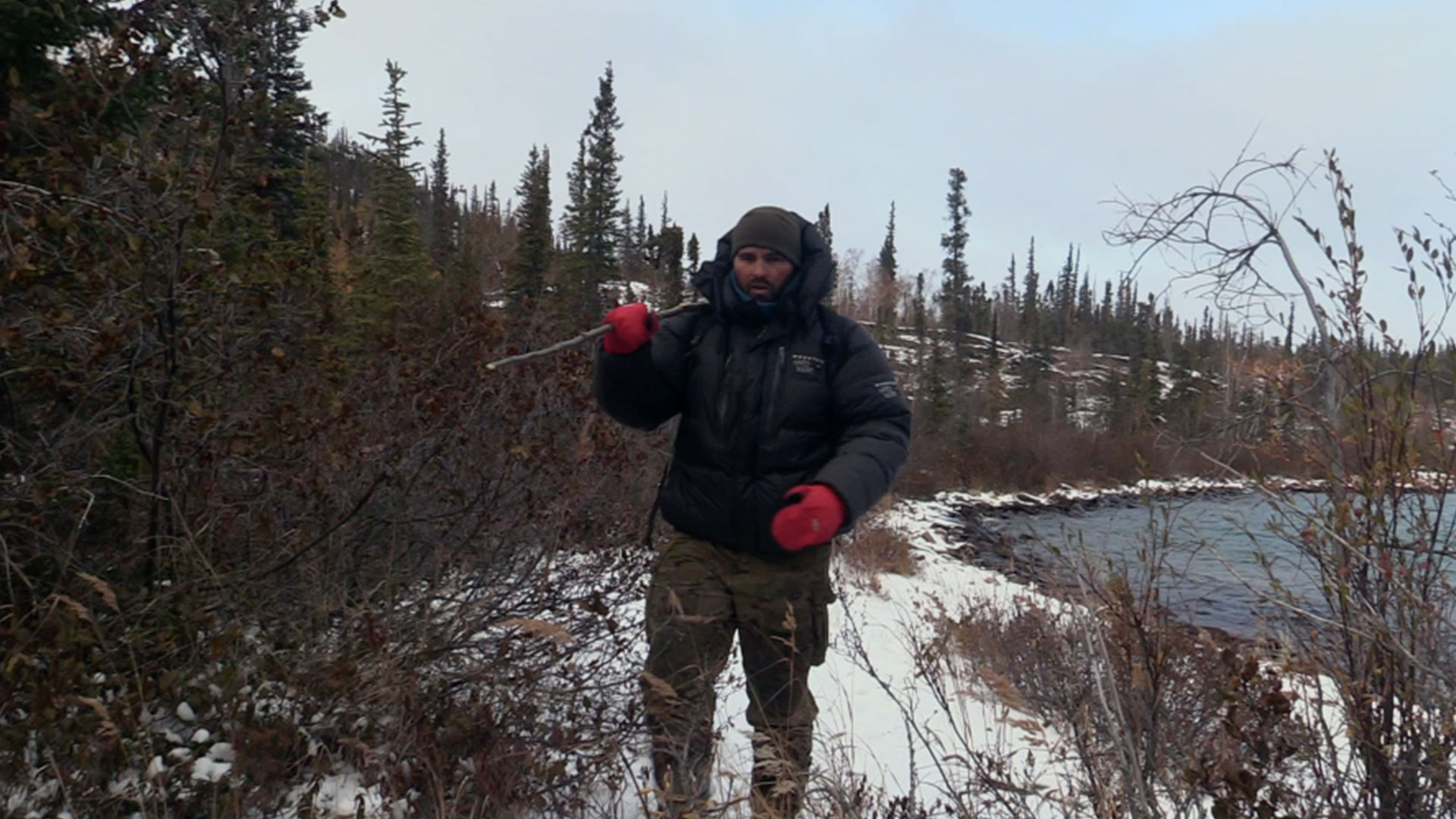 Befriending a Fox thumbnail