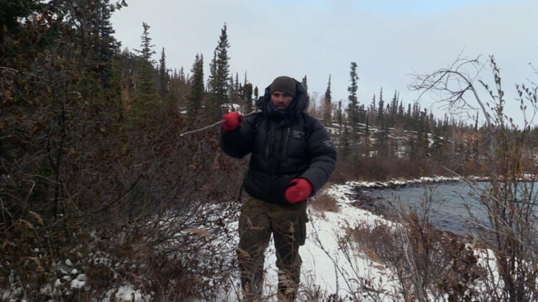 Befriending a Fox thumbnail