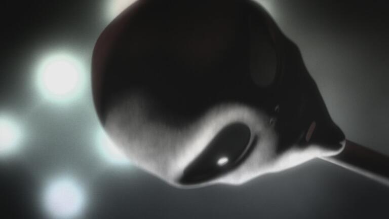 They Saw the Unseen—And Caught It on Camera thumbnail