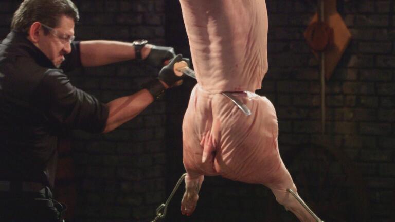 Extreme Animal Testing: Things Get Messy! thumbnail