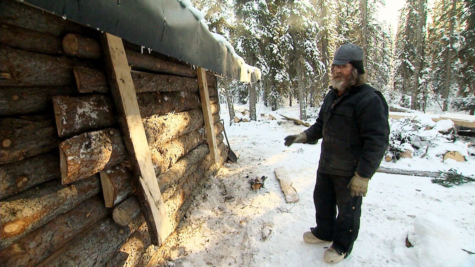 Marty Bear-Proofs His Cabin