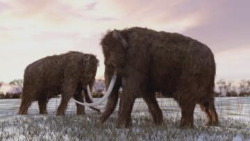 Episode 14 Wooly Mammoth Sighting, Ohio Bigfoot Howl, and Killer Robot