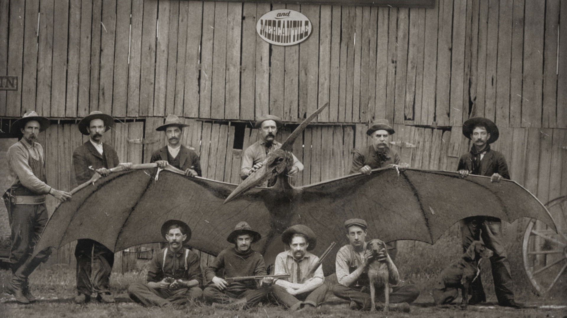 Undiscovered Dinosaurs Revealed thumbnail