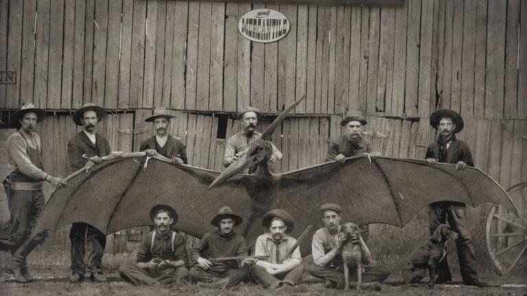 Undiscovered Dinosaurs Revealed thumbnail