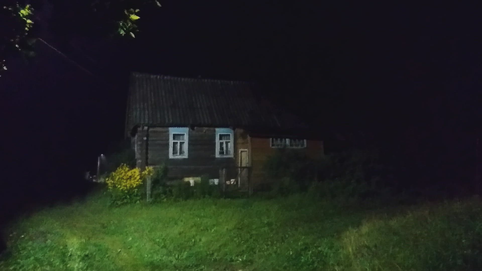 The BIGGEST Creature Hoaxes of 2020 | The Proof Is Out There thumbnail