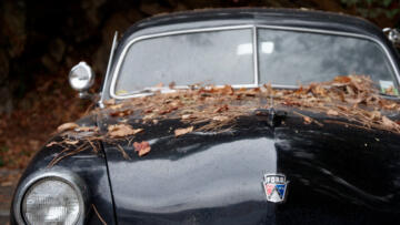 Episode 10 Cockroach City