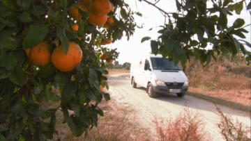 Episode 2 Greetings From the Sunshine State