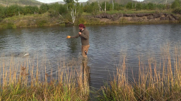 Jesse's Bad Day thumbnail