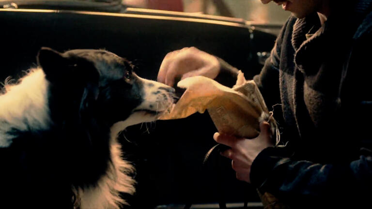 The Dog That Solved a Famous Heist thumbnail