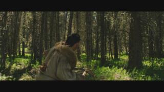 Fallen Timbers
