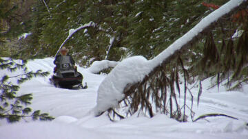 Episode 12 The Bus Stop Bandit