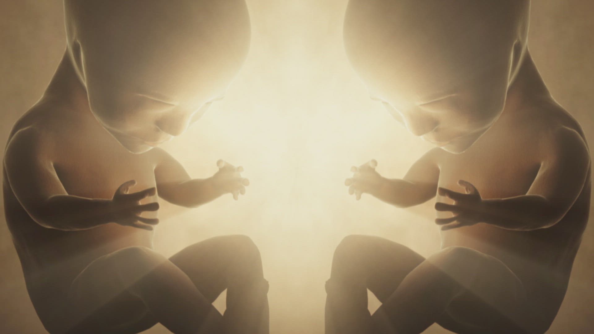 Human Genesis