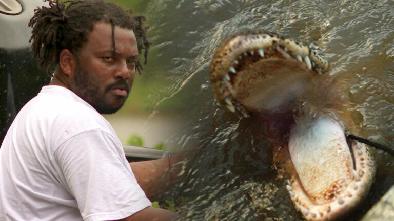 GREAT GATOR CATCH for Swamp Newcomers thumbnail