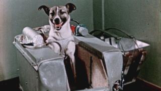 Extraordinary Journeys