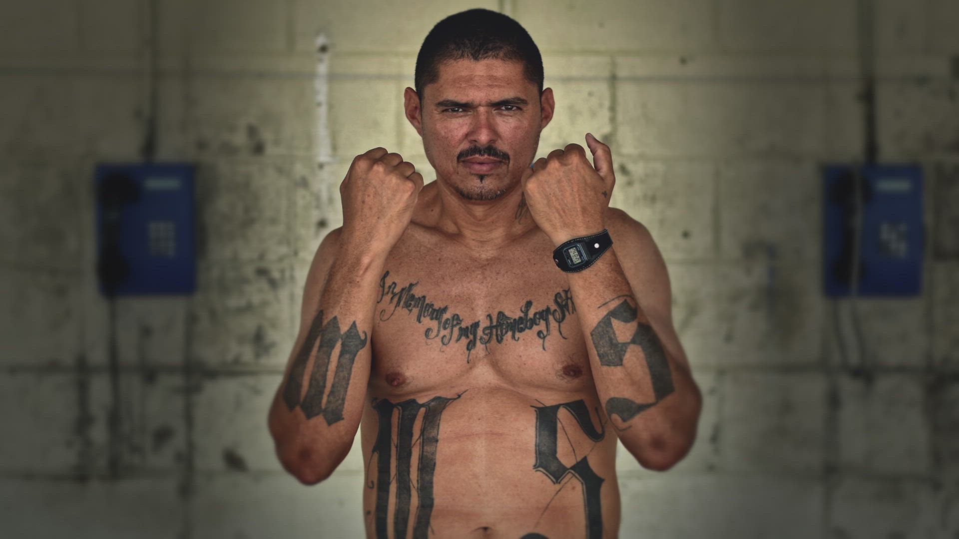 MS-13
