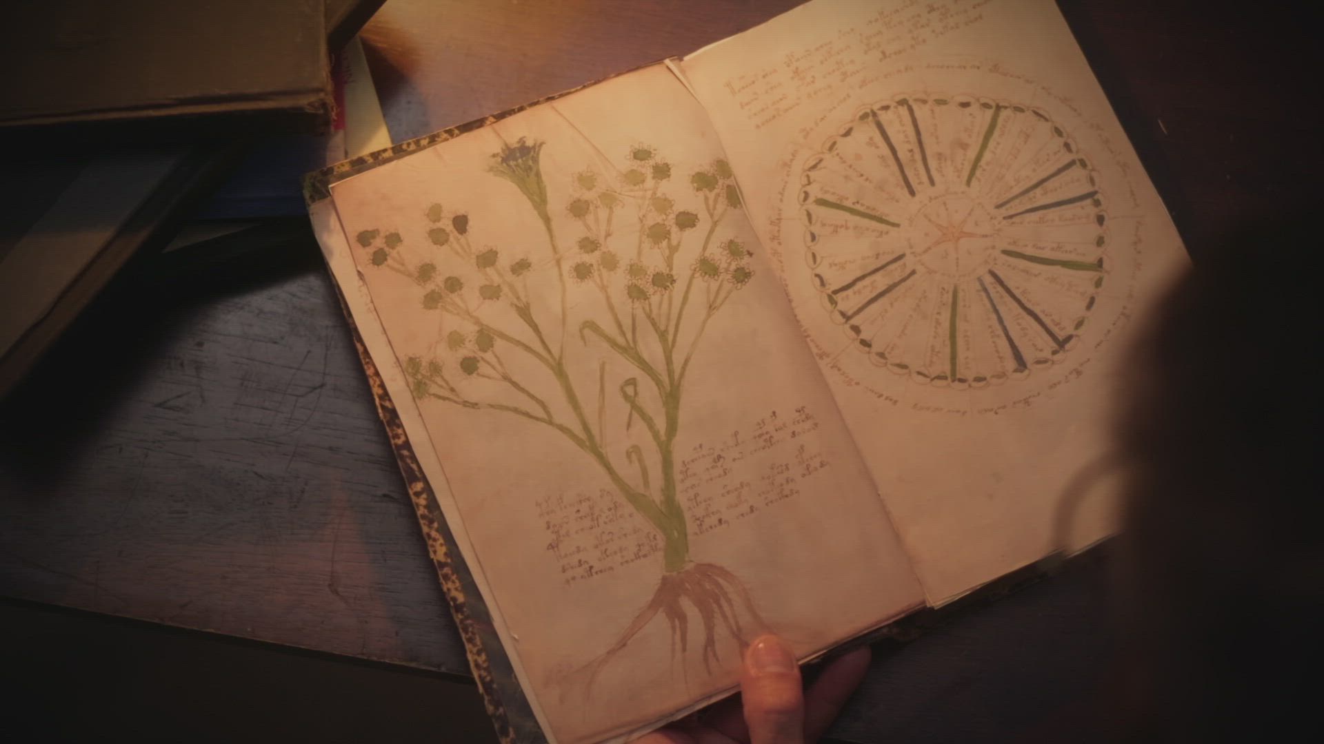 Hidden Codes