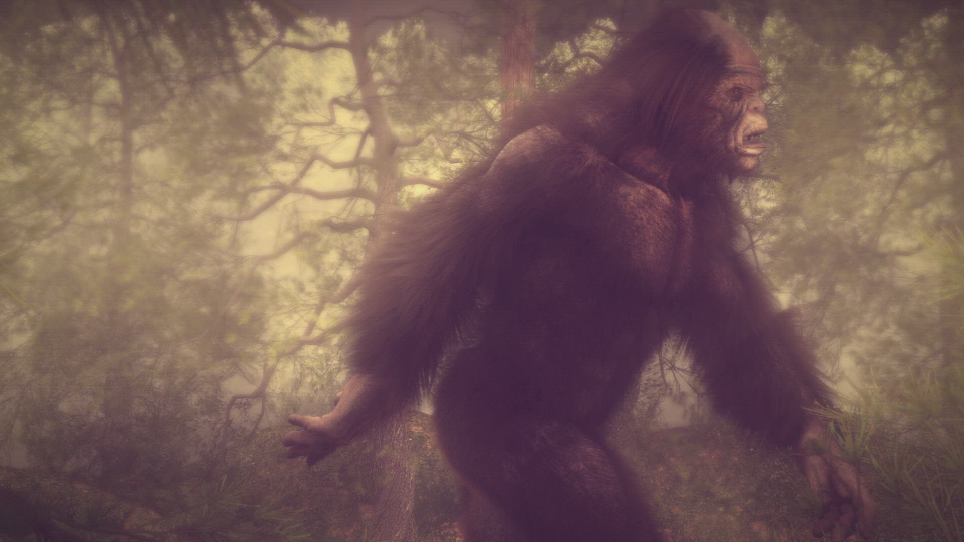 Honey Island Swamp Monster, Sphere Sightings, and Abominable Shark Killer