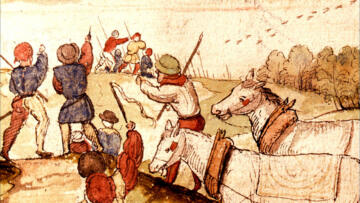 3 Y'all Speak Country