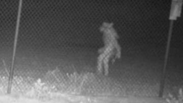Episode 13 Chupacabra, Greatest UFO Photo Ever and Mars Sounds