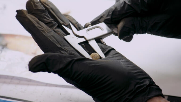 Collecting the Clues: Samuel's Ball thumbnail