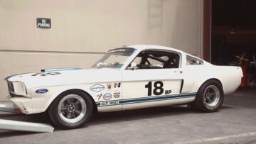 Episode 23 Firebird Fever