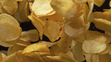 Episode 6 Chip Dynasties