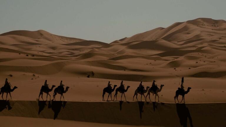 Ancient Empires: Alexander and Egypt thumbnail