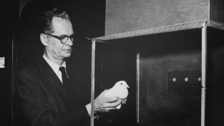 Wildest WWII Weaponry: Featuring Pigeon Guided Missiles thumbnail