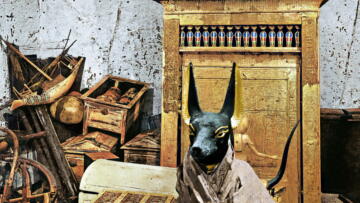 Episode 8 Mysterious Mummies