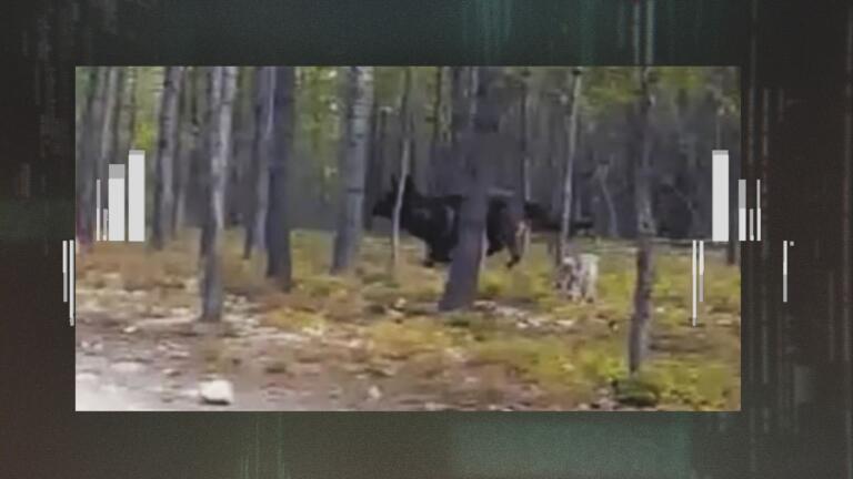 Mysteries of Canada: Shocking Theories Revealed! thumbnail