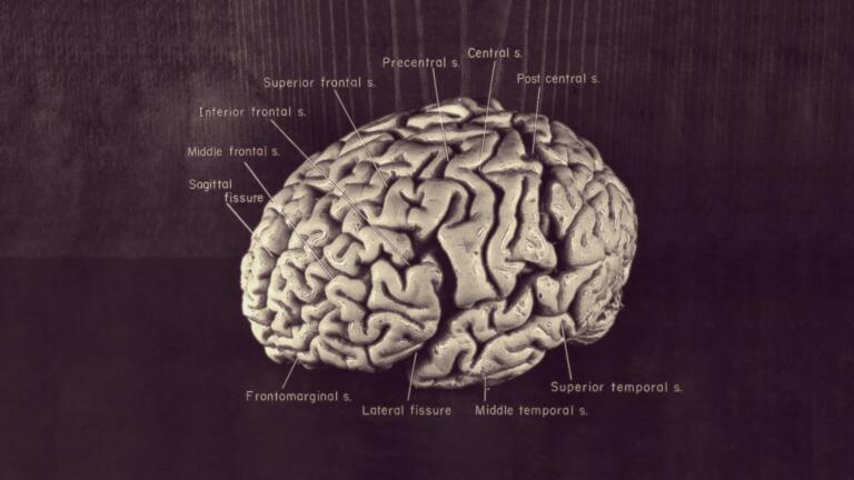 The UnXplained: Top 4 Disturbing Mysteries of the Brain thumbnail