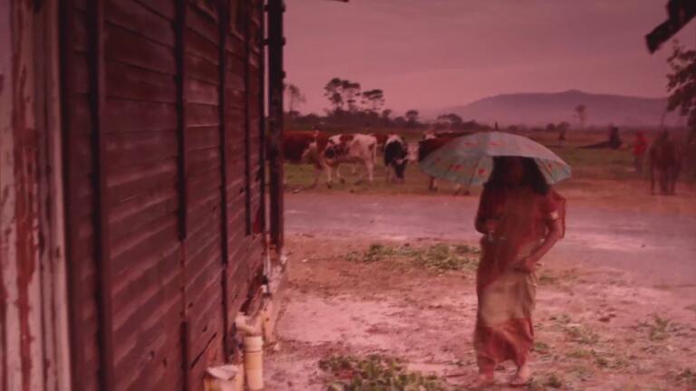 The UnXplained: TOP 4 APOCALYPTIC WARNINGS WILL PETRIFY YOU thumbnail