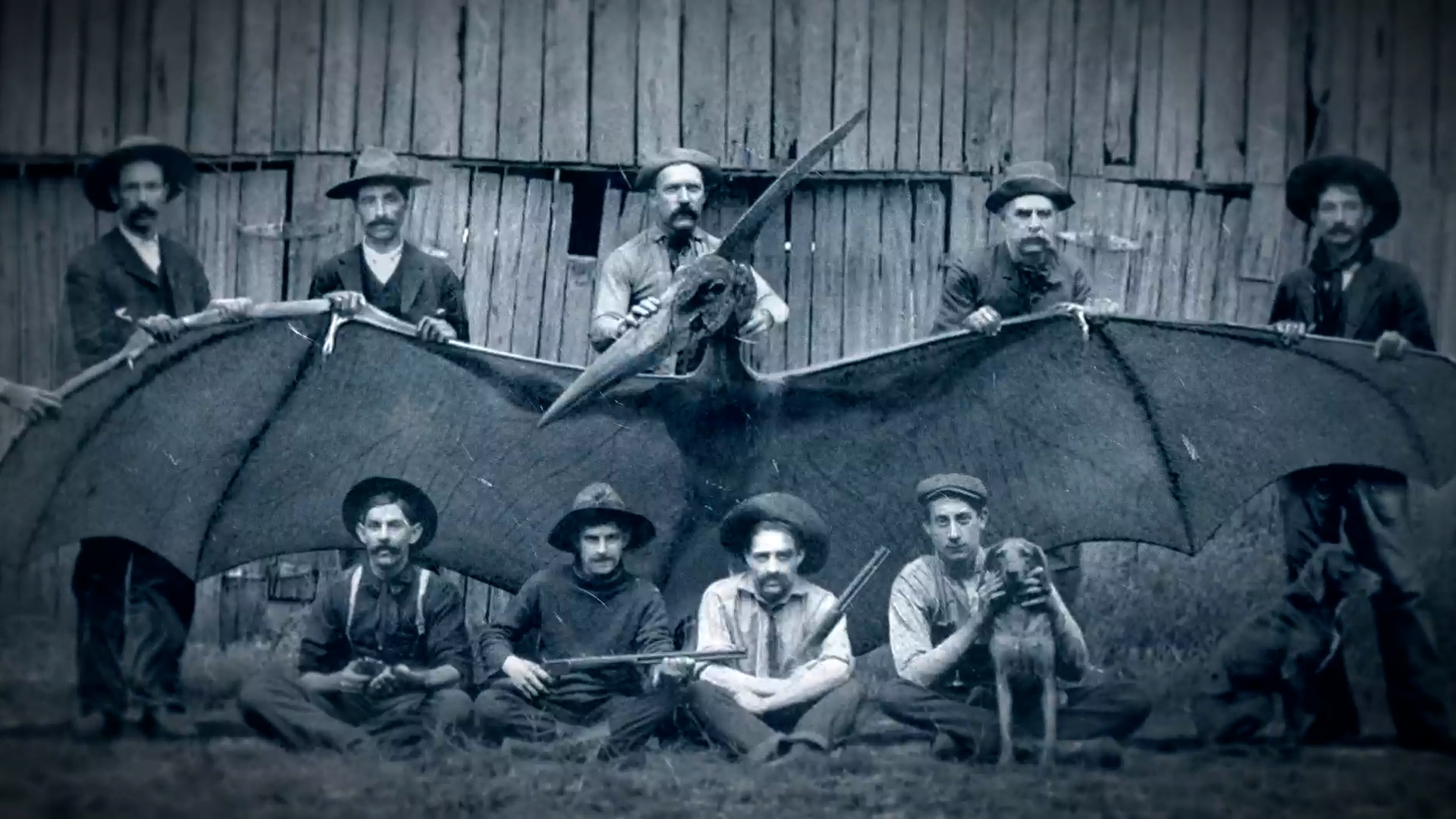 Pterodactyl Creature Spotted in 1800s Arizona thumbnail