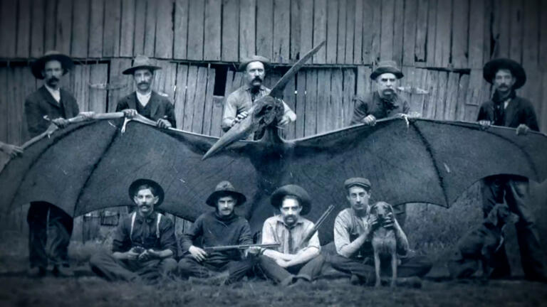 Pterodactyl Creature Spotted in 1800s Arizona thumbnail