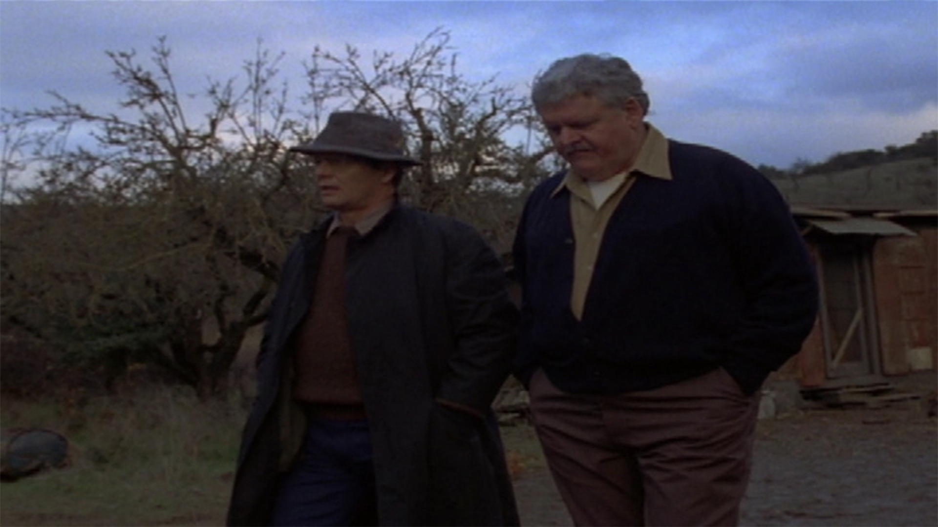Cry in the Wild: The Taking of Peggy Ann