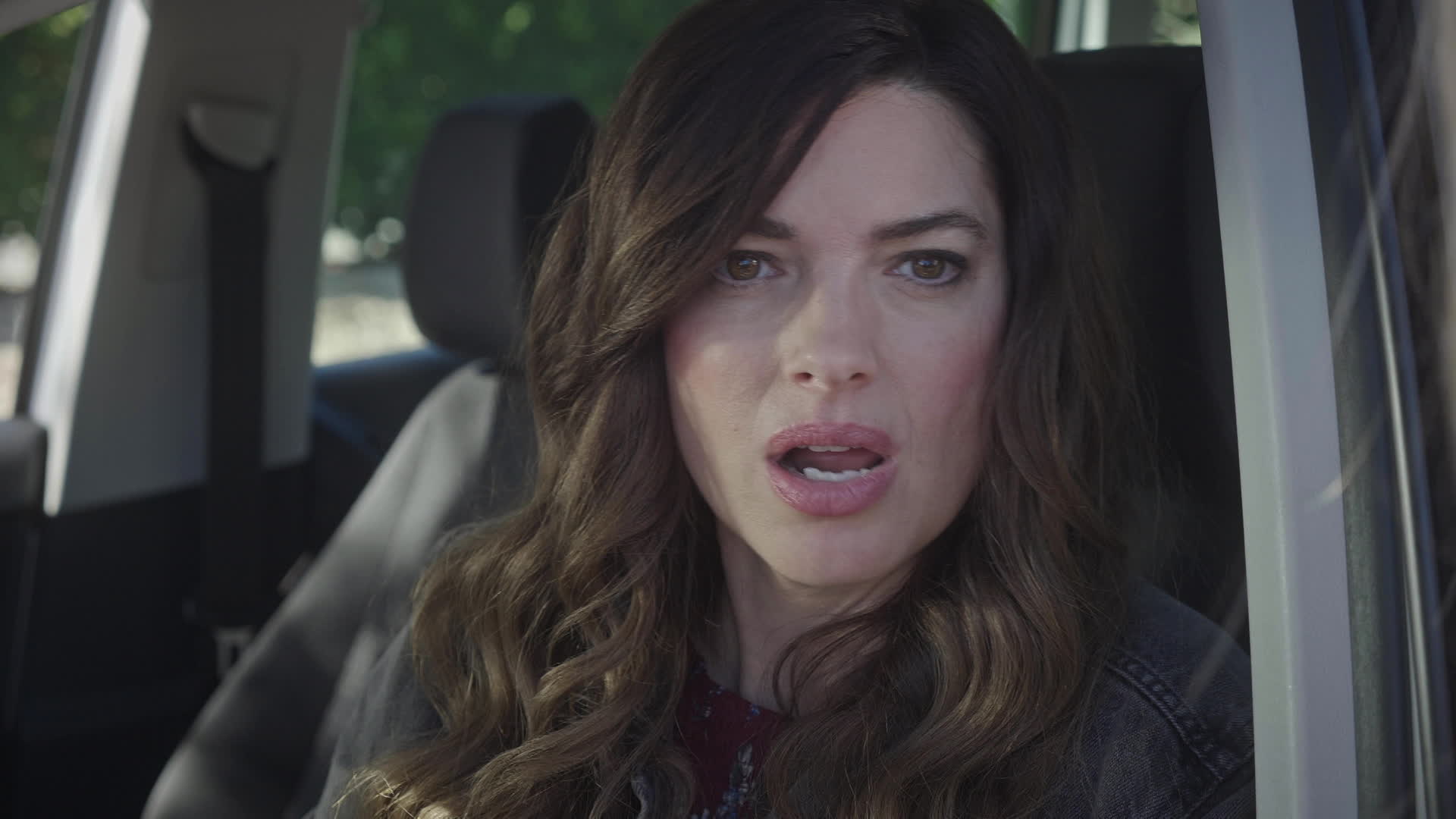 Birthmother's Betrayal