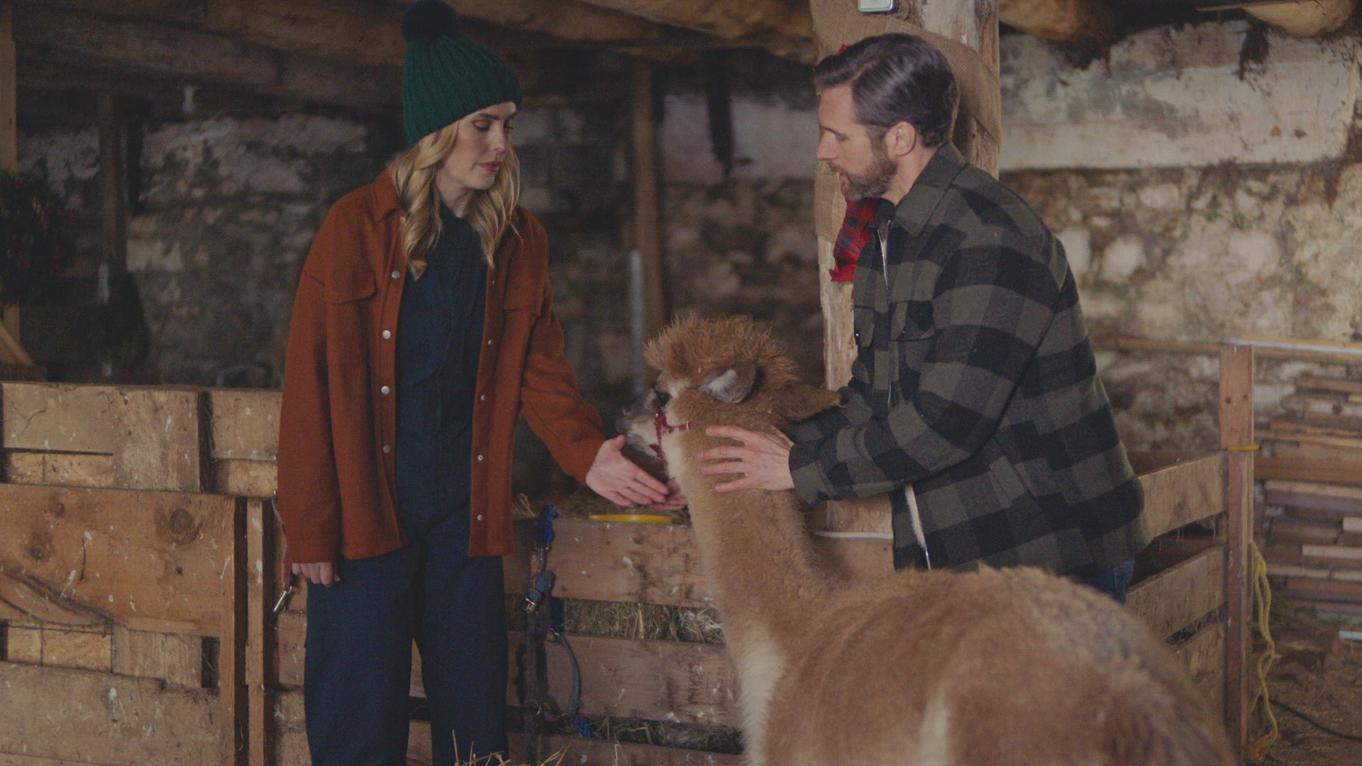 Christmas on the Alpaca Farm